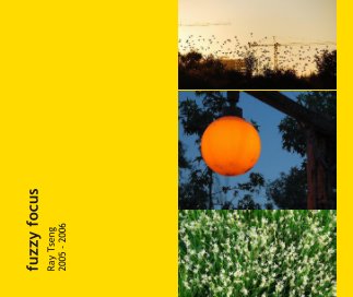 fuzzy focus book cover